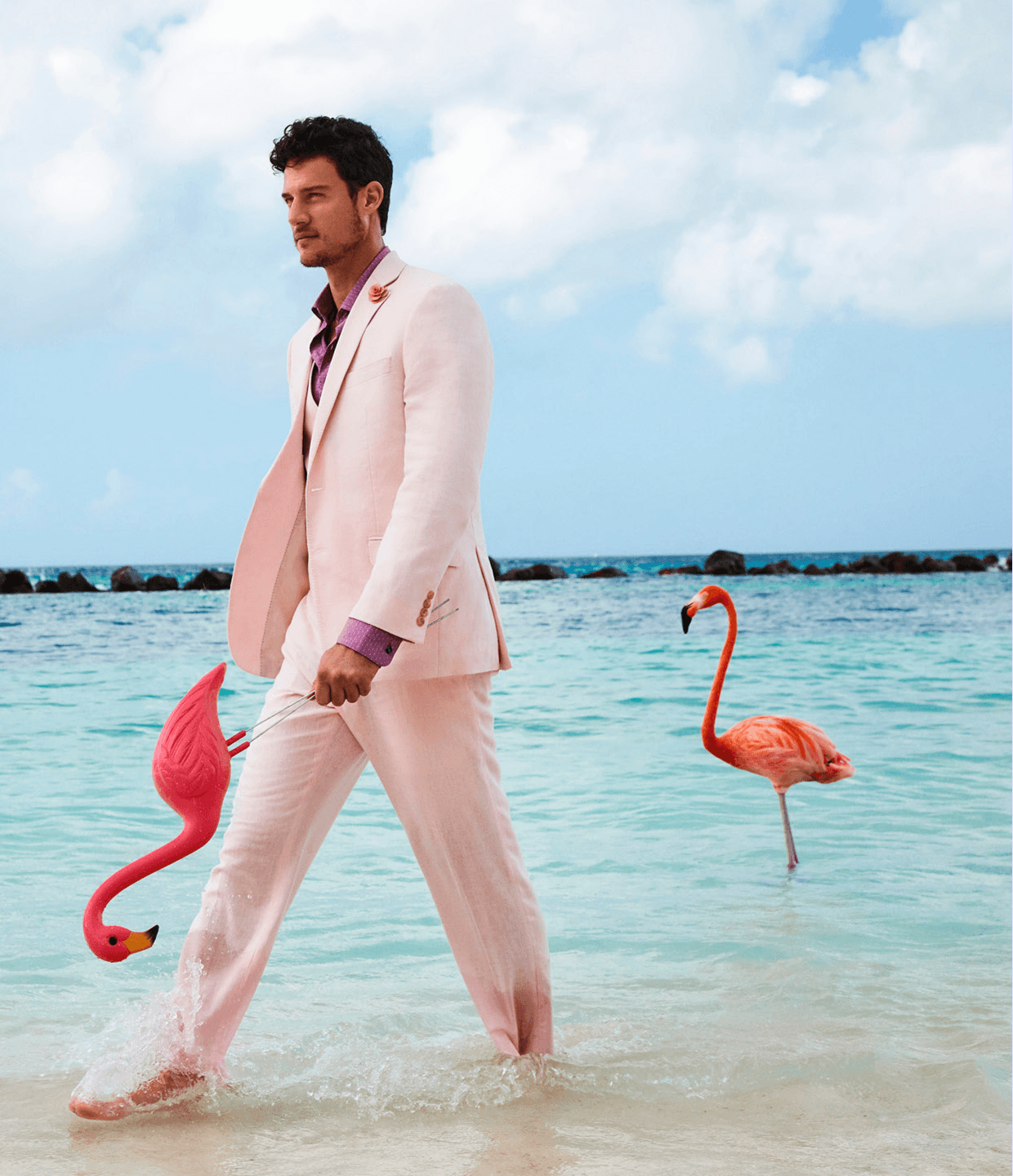 RH_Flamingo_c